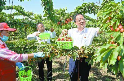 销售合同书模板免费下载，助力商业交易规范化与便捷化