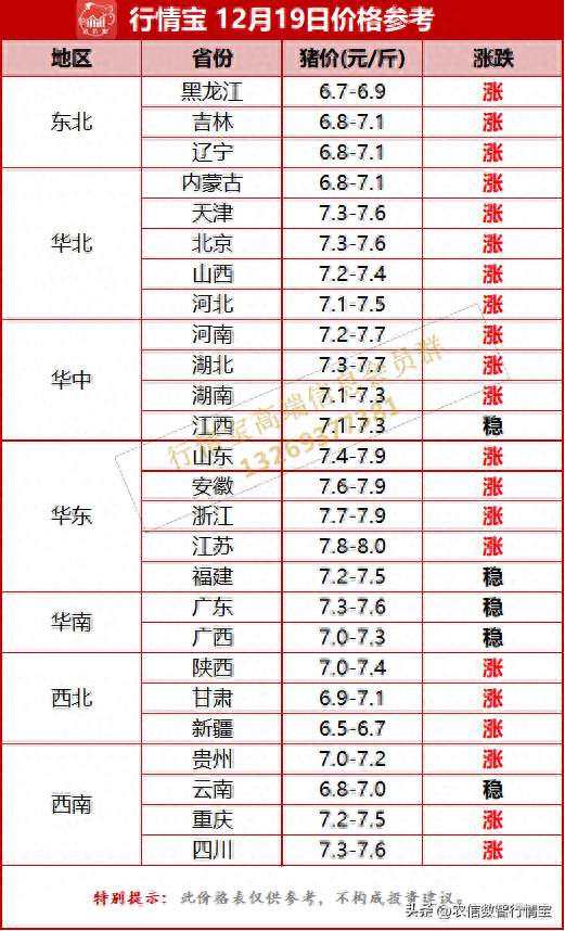 猪肉最新价格动态解析报告